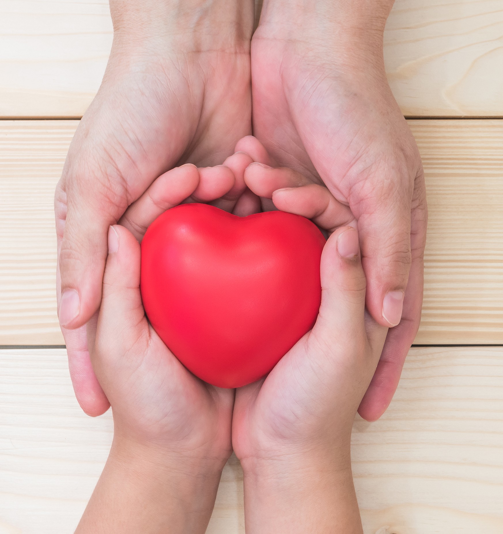 Child's Hands Holding Red Heart in Adult's Hands